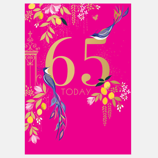 Birds 65th Birthday Card