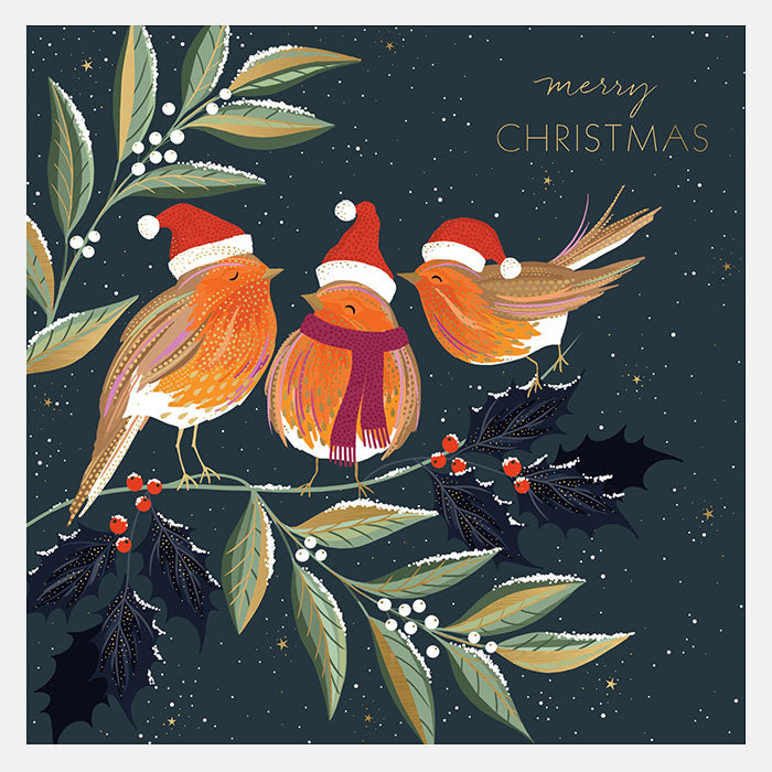 Luxury Robin Chorus Christmas Cards - Box of 8