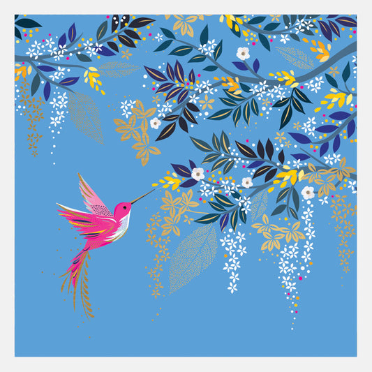 Carte vierge colibri bleu clair