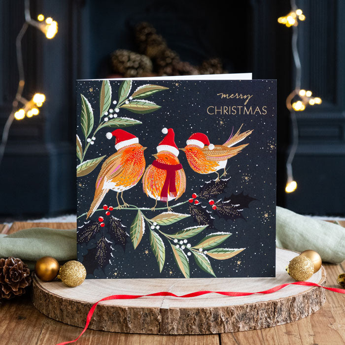 Luxury Robin Chorus Christmas Cards - Box of 8