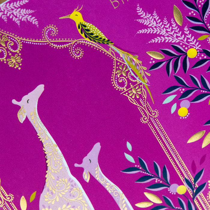 Basking Giraffes Birthday Card