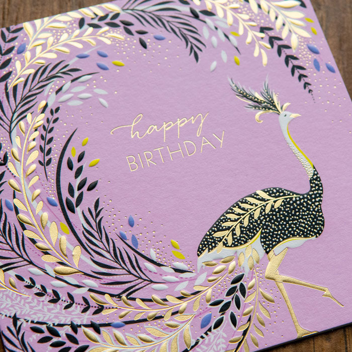Ostrich Tail Feathers Birthday Card