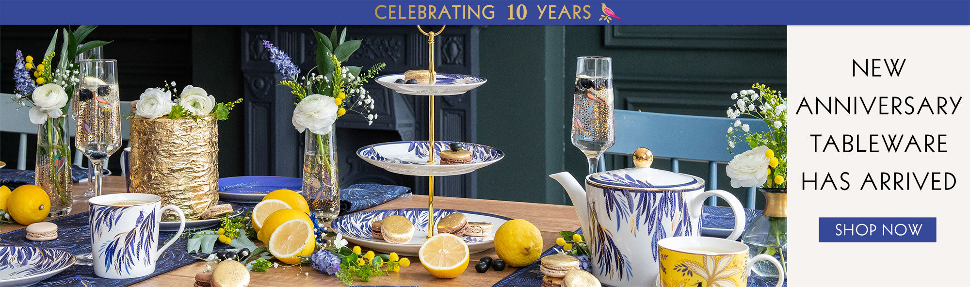 Desktop Banner Image