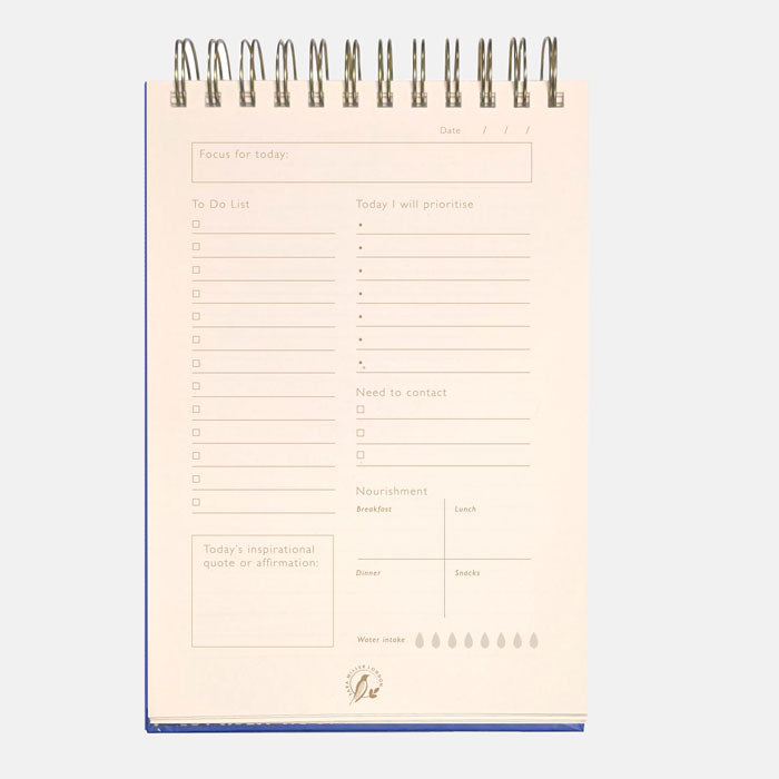 Shows the page layout of the planner, sections such as to-do list, todays focus and contacts.