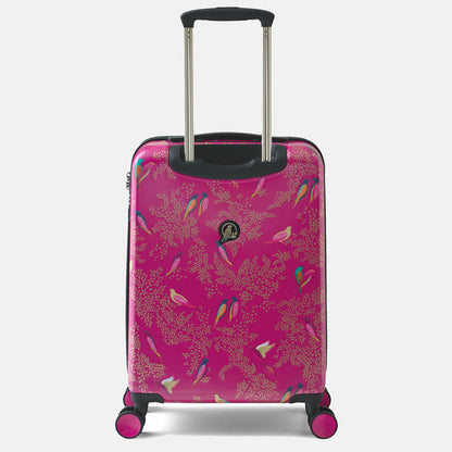 Cabin case from reverse, can see gold embossed Sara Miller London logo.