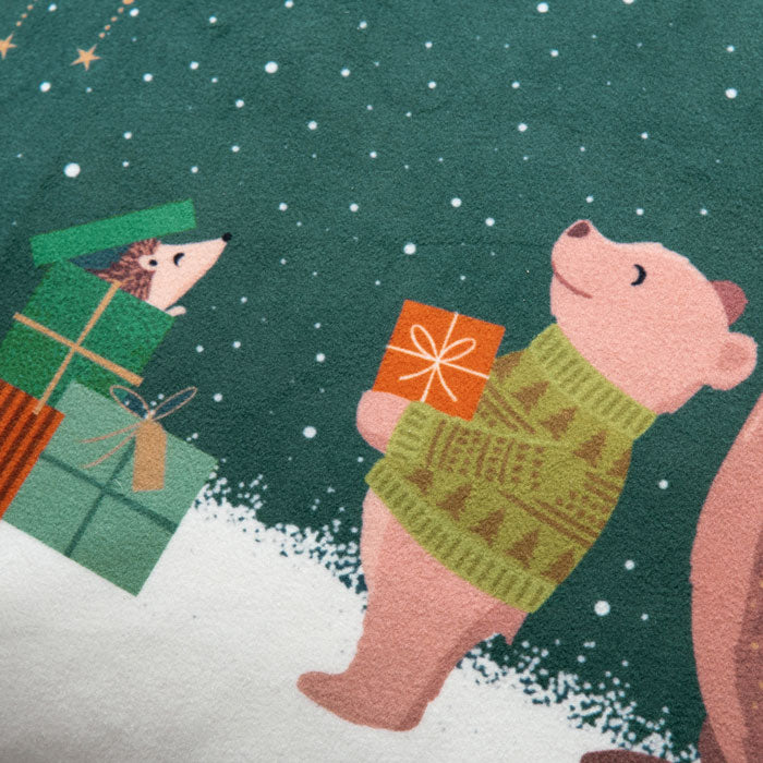 Woodland Tales Bear and Robin Velvet Cushion