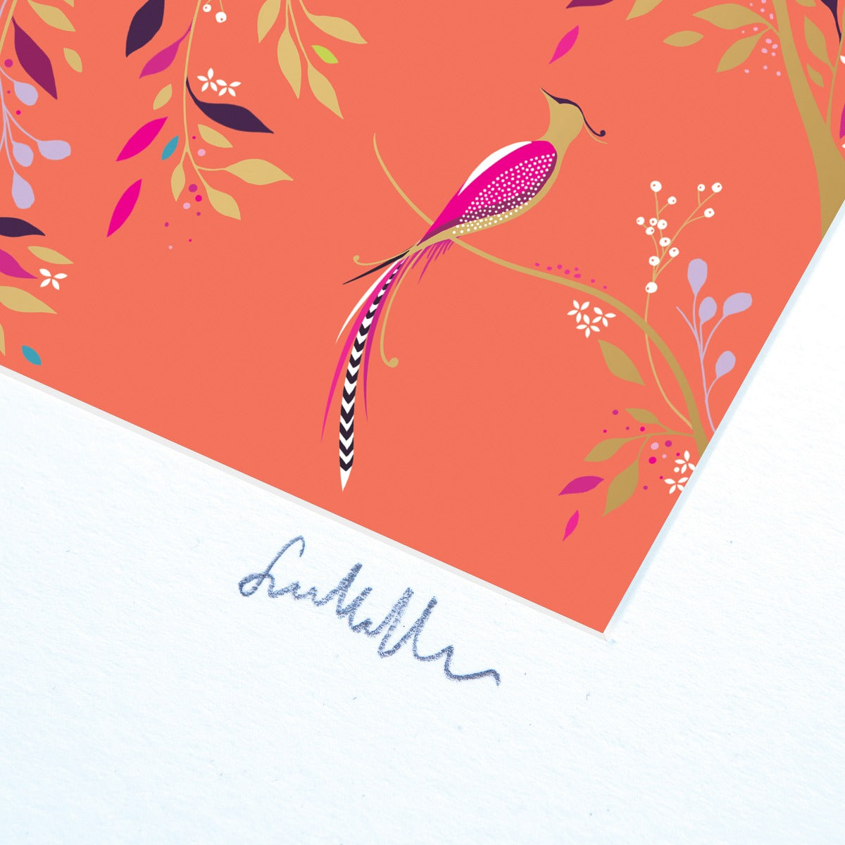 Coral Songbird Wall Art