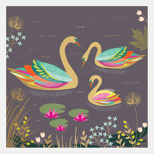 Three Swans Card
