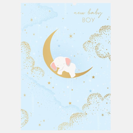 Elephant Baby Boy Card