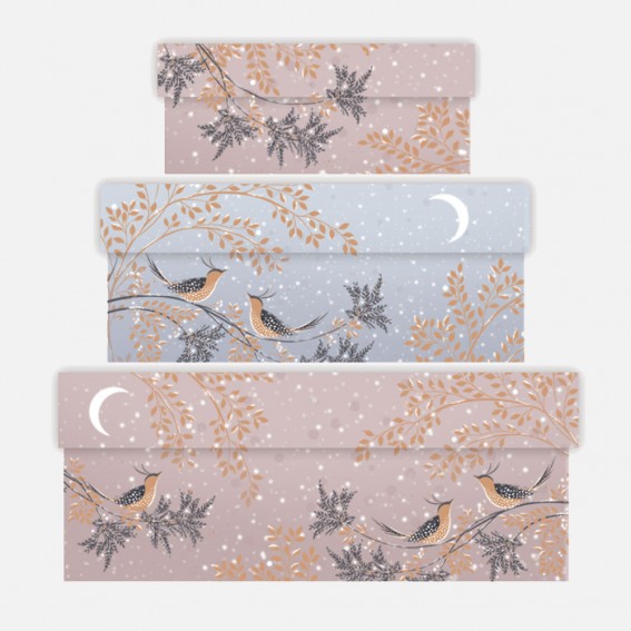 Winter Snow Birds Gift Boxes - Set of 3