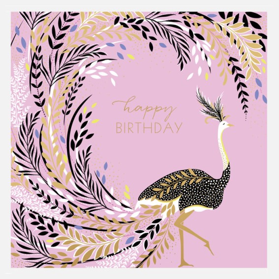 Ostrich Tail Feathers Birthday Card