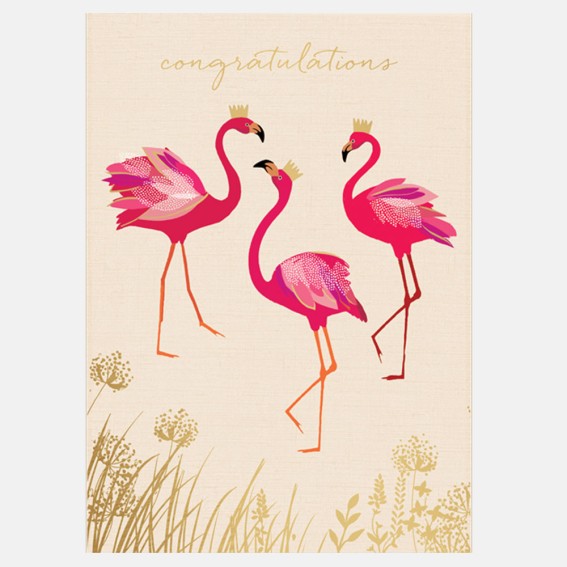 Cards, greeting cards, gift, luxury greeting card, animal card, celebration card, celebratory, well done, congratulations card, flamingo card,