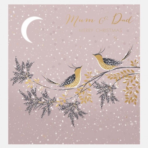 Snow Birds Mum & Dad Christmas Card