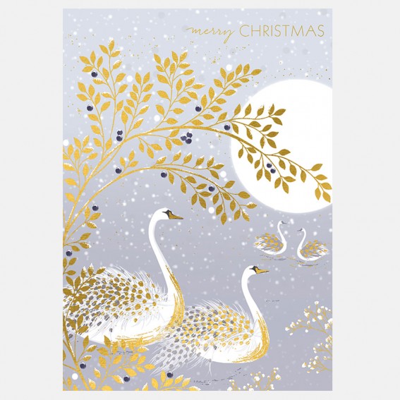 Snow Swans Christmas Card