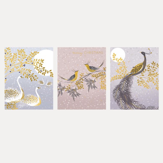 Snow Birds Trio Christmas Cards - Assorted Set of 12
