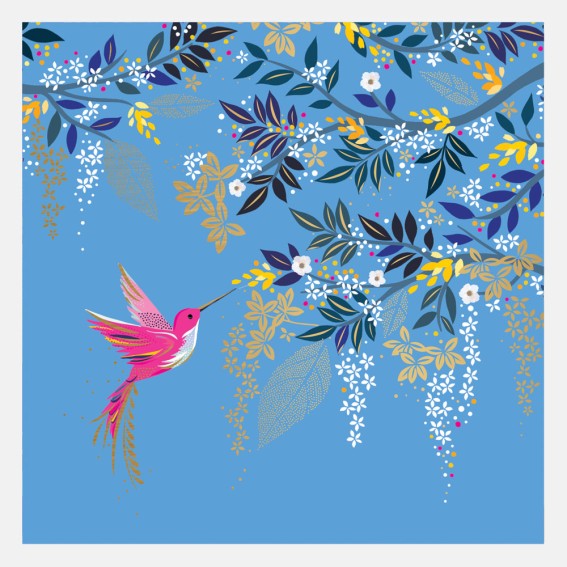 Light Blue Hummingbird Blank Card 